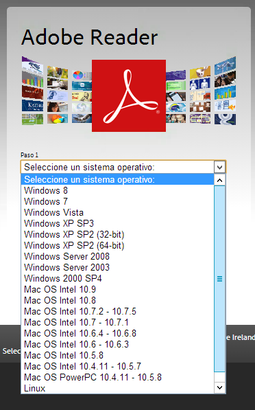 Internal Error de Acrobat Reader XI en Windows Server 2012 - Neointec